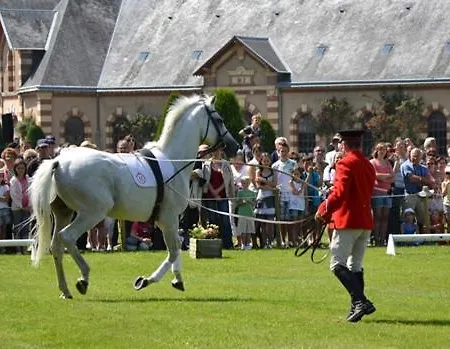 Mh 200 Litteau